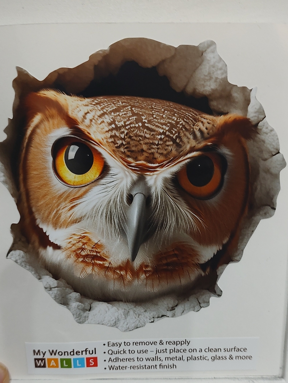 Brown Owl Wall Sticker - Reusable Bird Décor